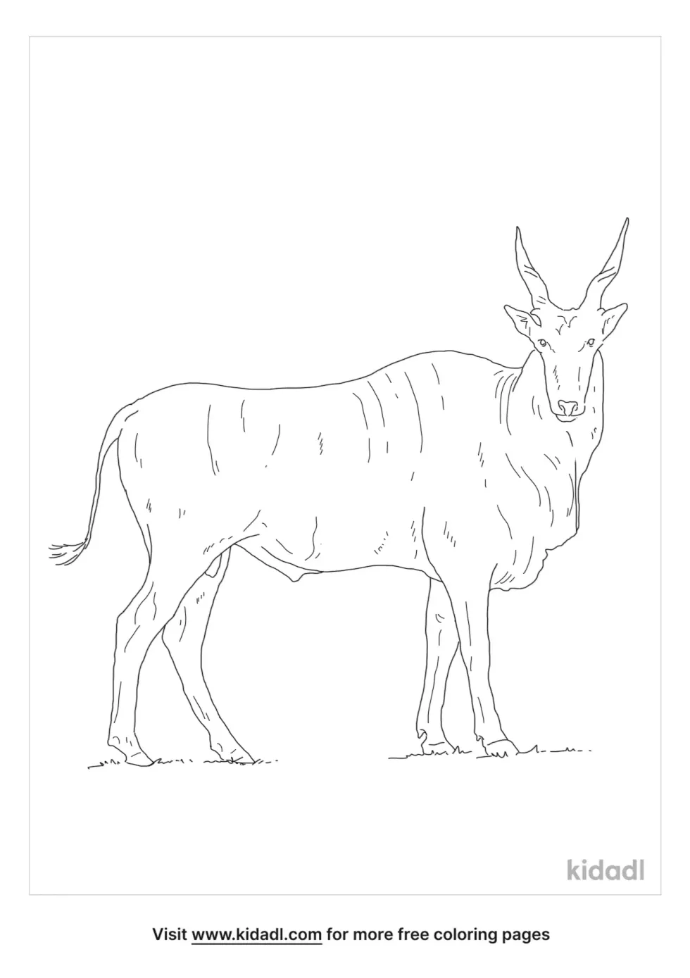 Common Eland Coloring Page