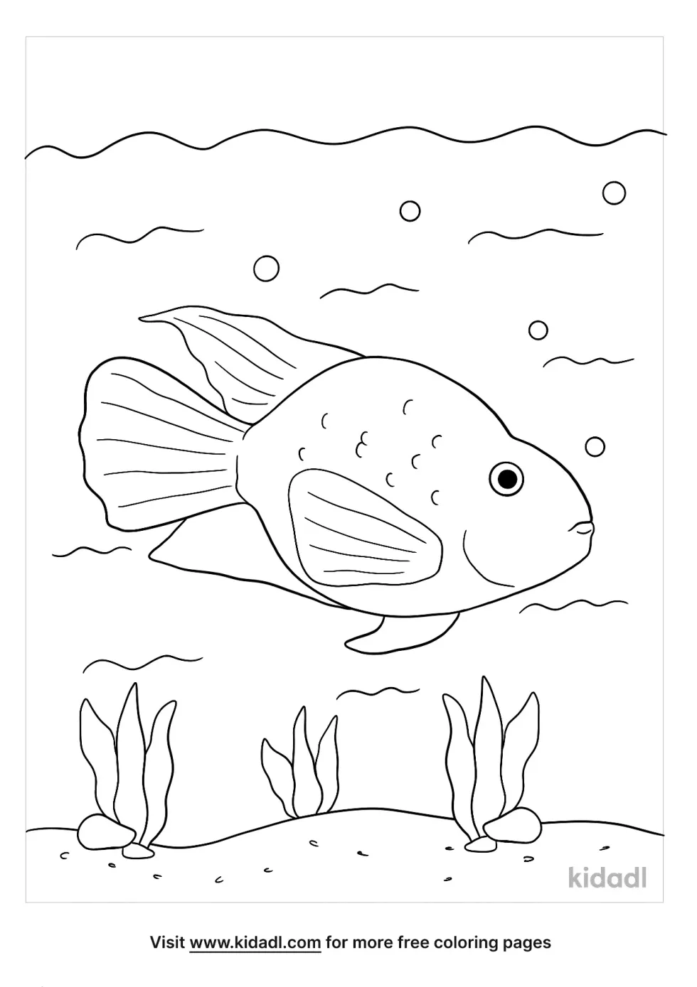 Parrot Goldfish Coloring Page