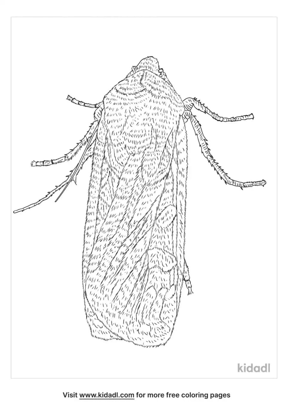 Army Cutworm Coloring Page