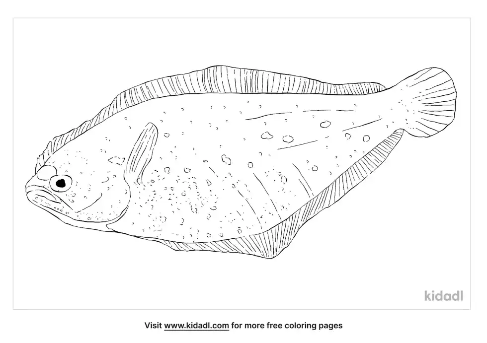 Speckled Sanddab Coloring Page