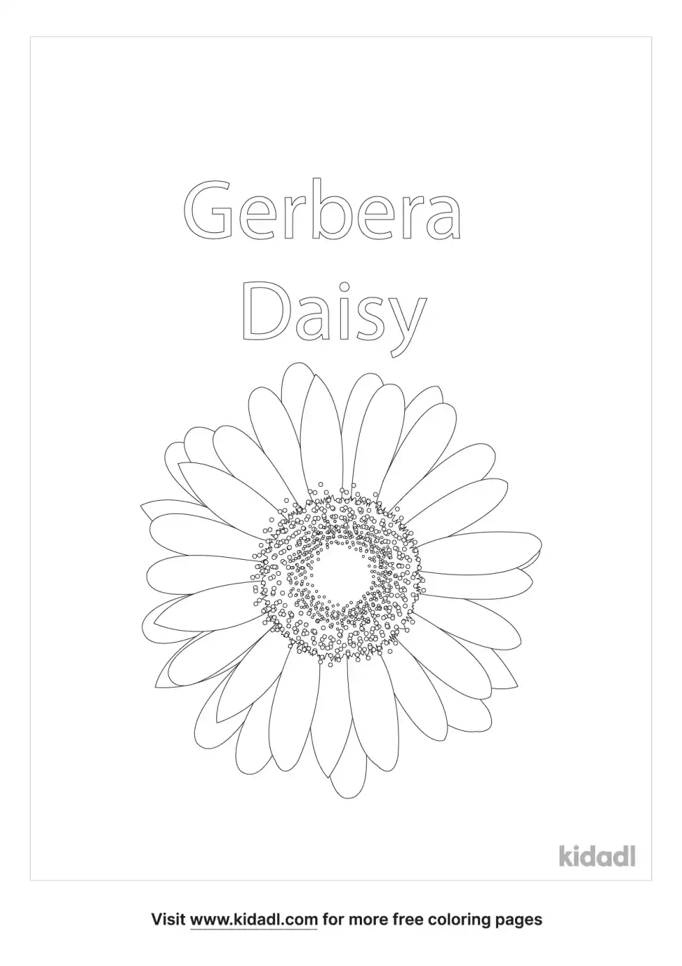 Gerbera Daisy Coloring Page