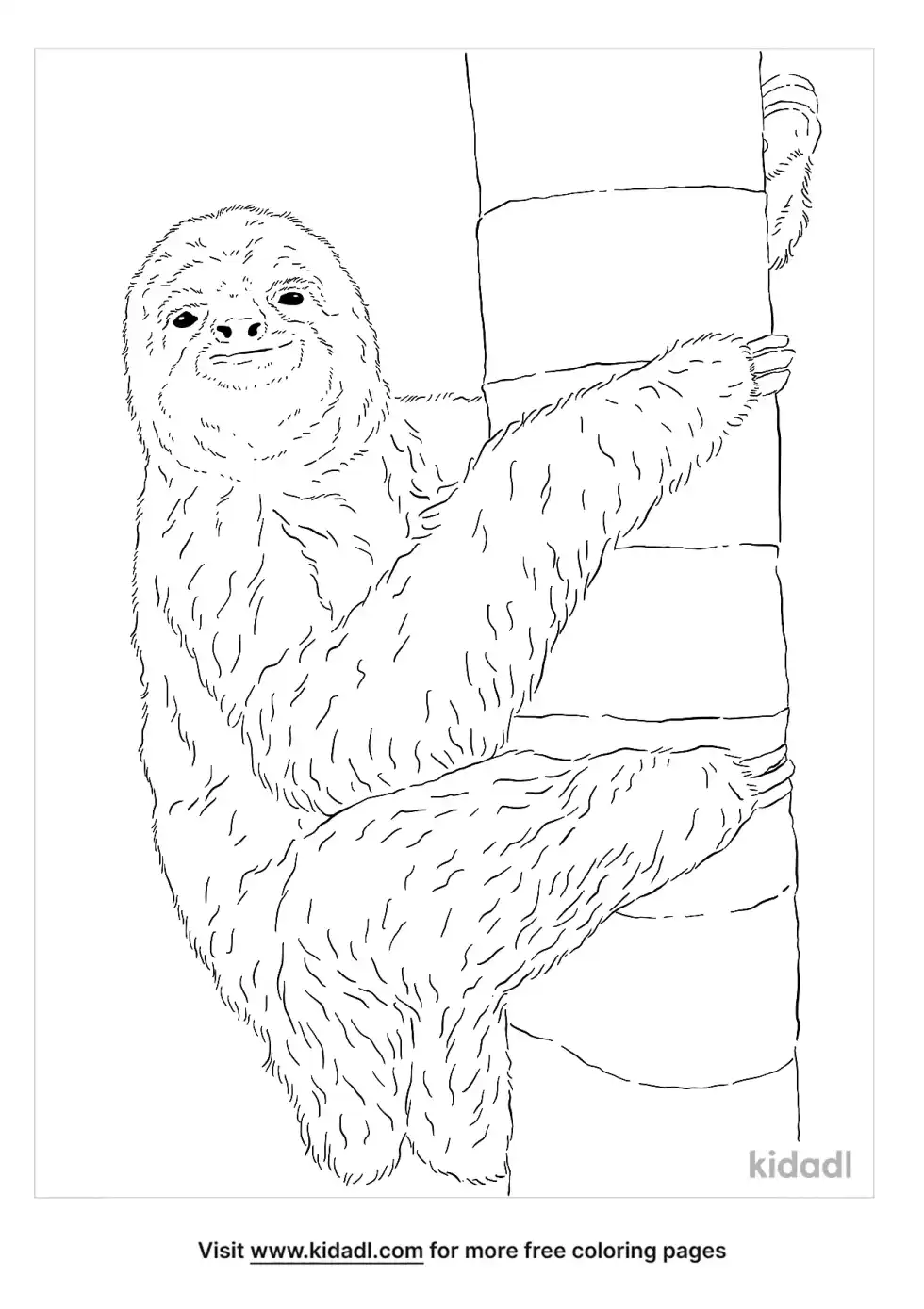 Brown-Throated Sloth Coloring Page