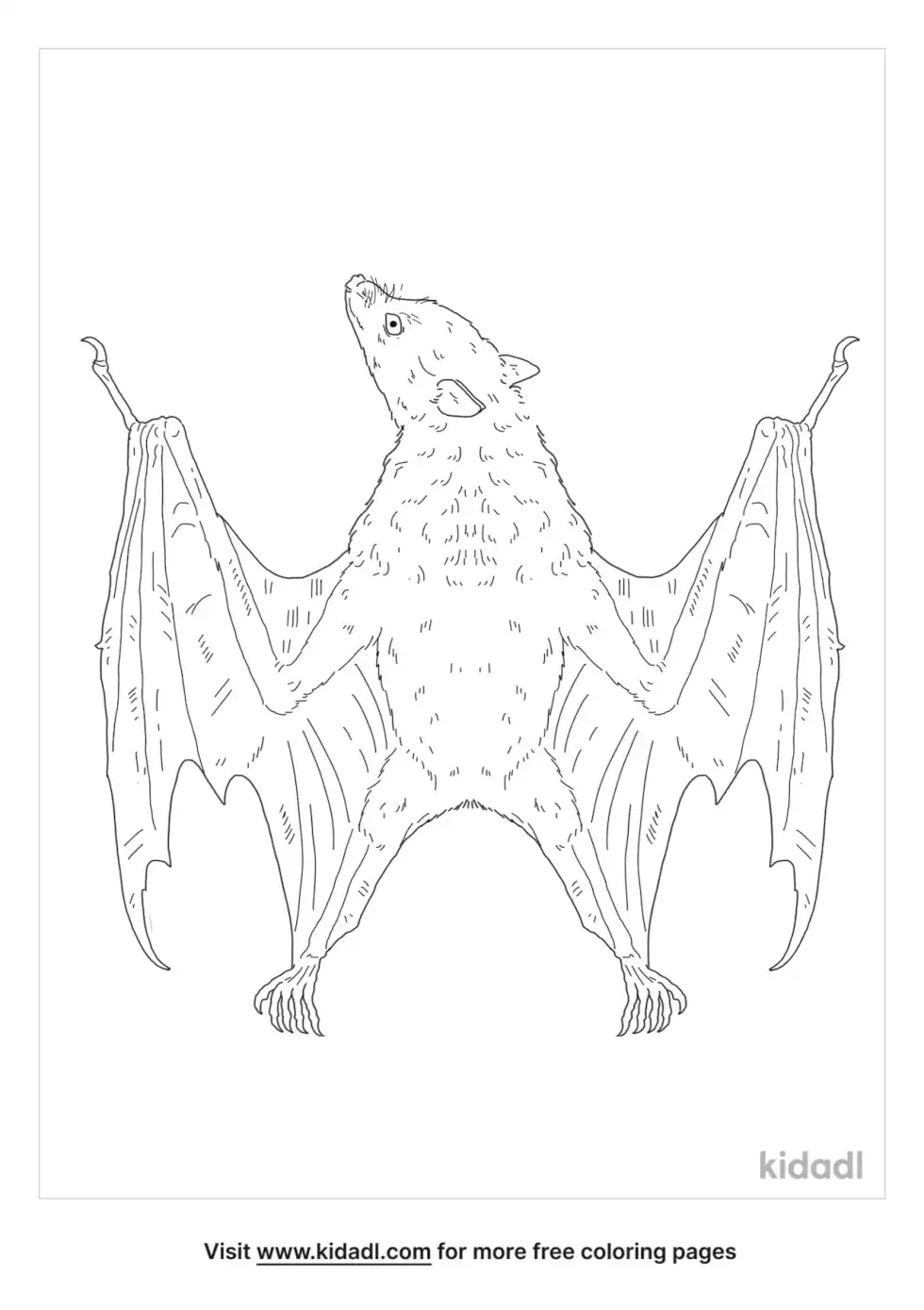 Megabat Coloring Page