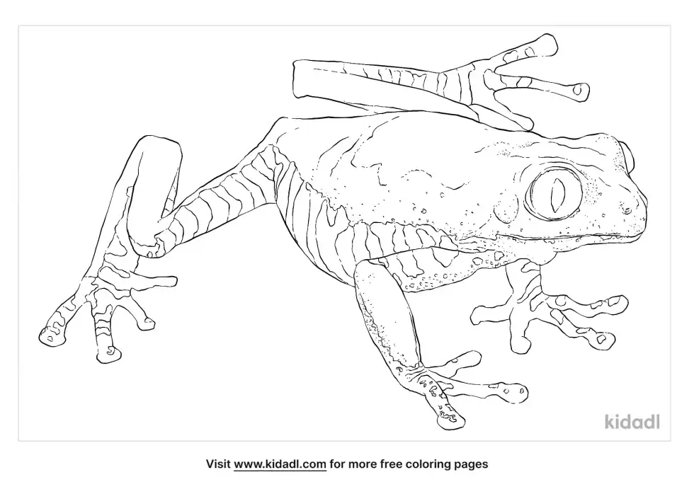 Tiger-Leg Monkey Frog Coloring Page