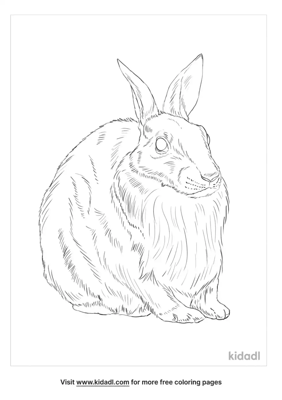 Appalachian Cottontail Coloring Page