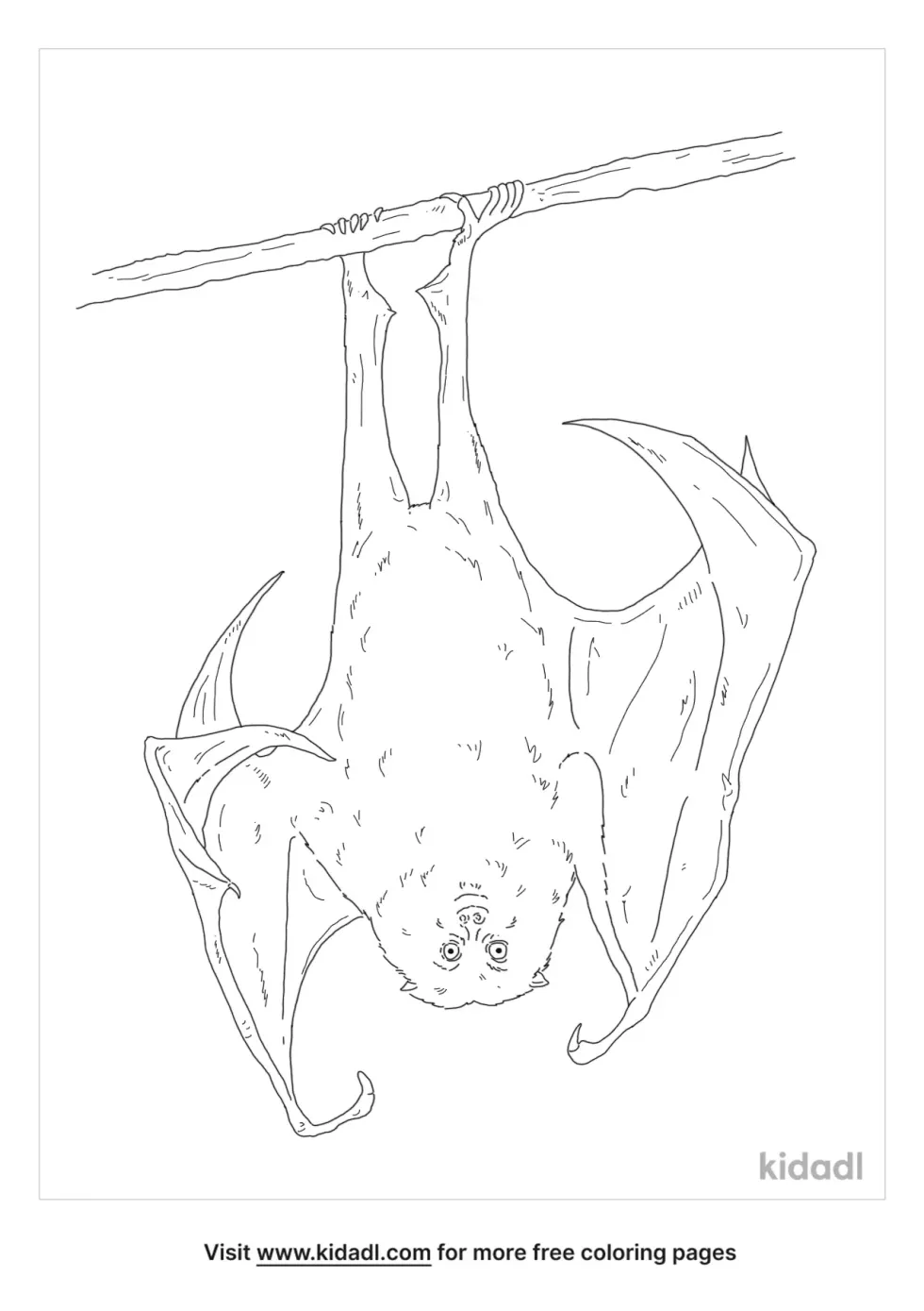 Rodrigues Flying Fox Coloring Page