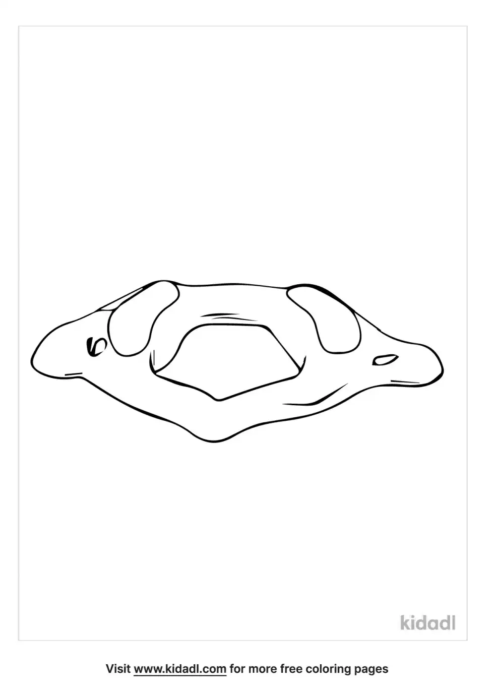 Cervical Vertebra Coloring Page