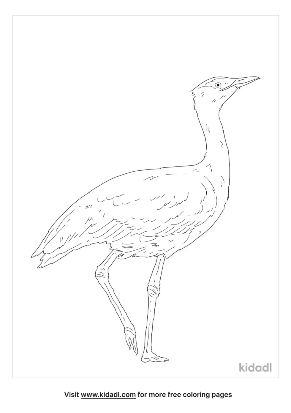 Australian Bustard Coloring Page