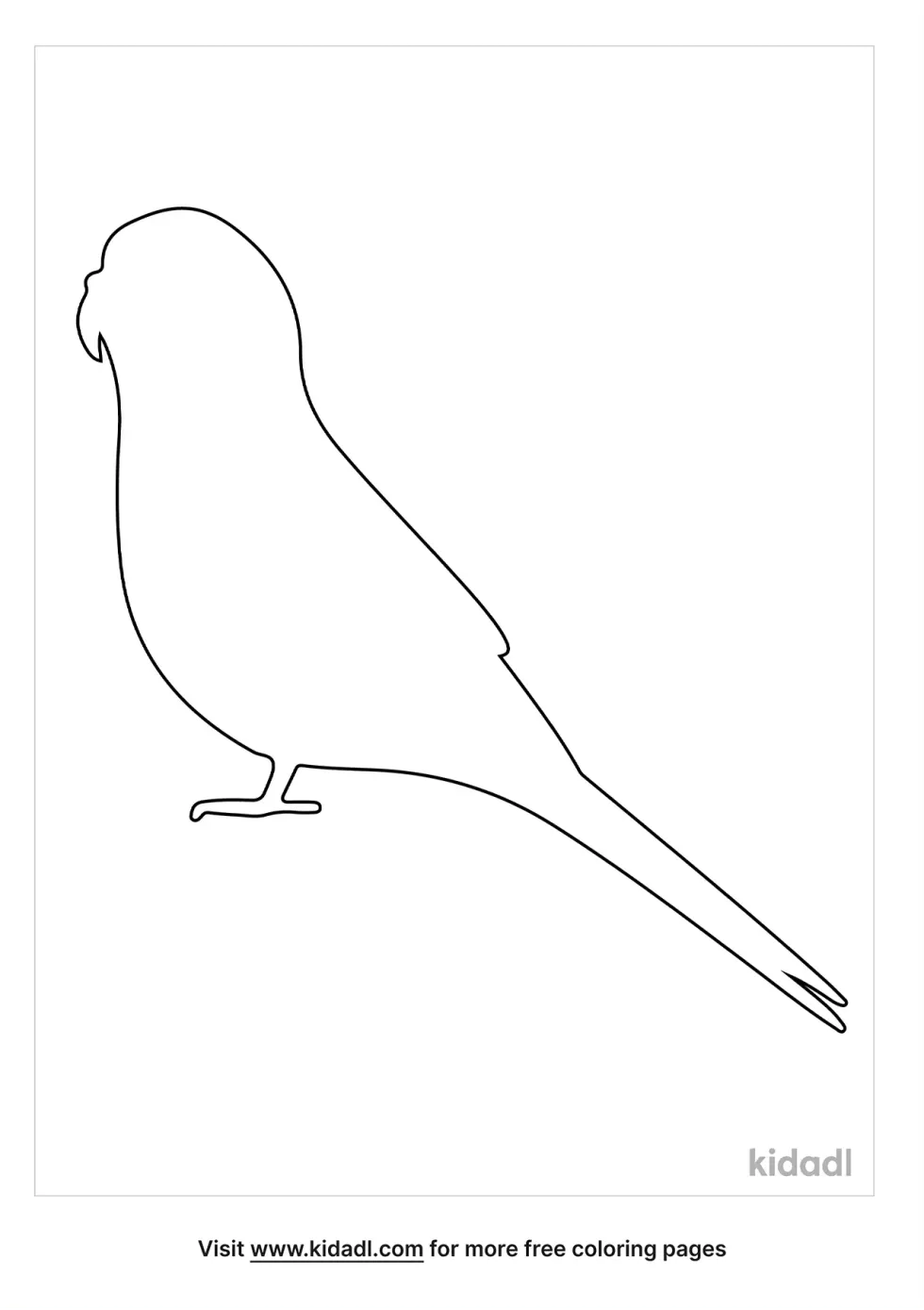 Parakeet Outline Coloring Page