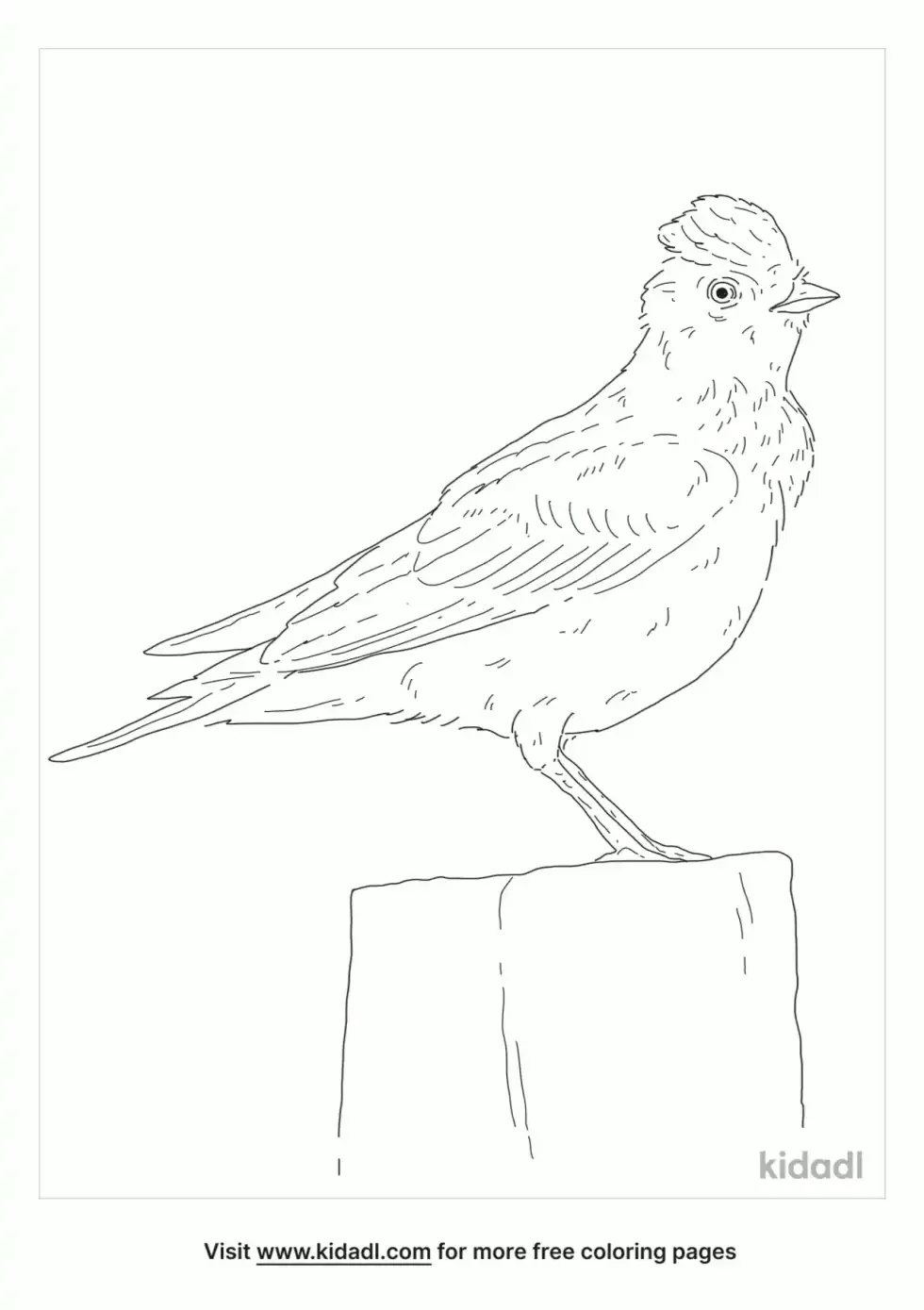 Eurasian Skylark Coloring Page