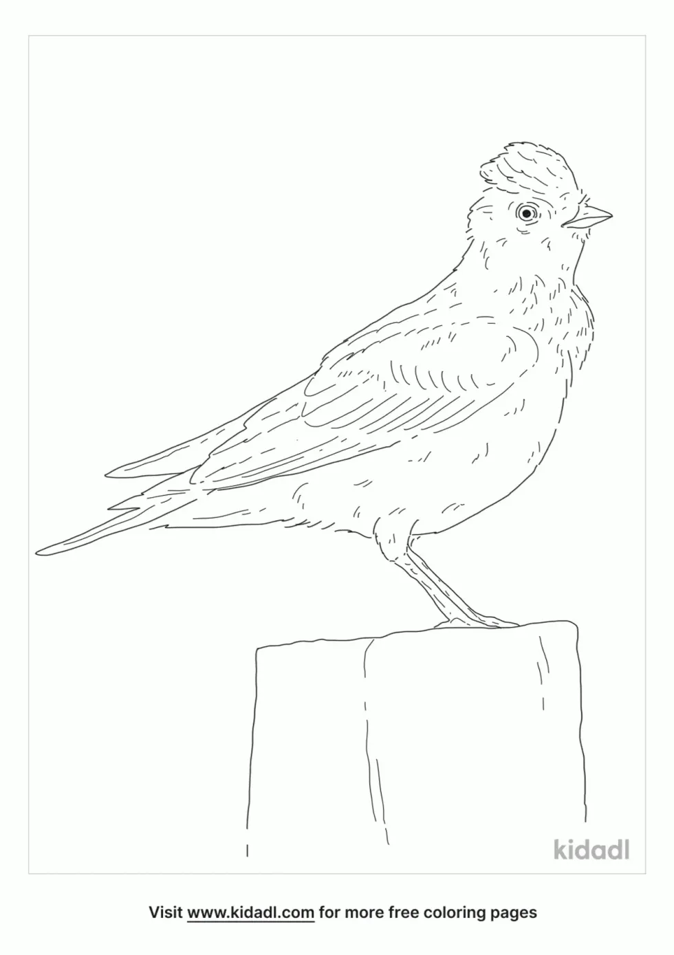 Eurasian Skylark Coloring Page