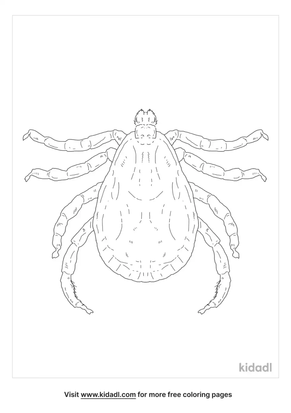 Wood Tick Coloring Page