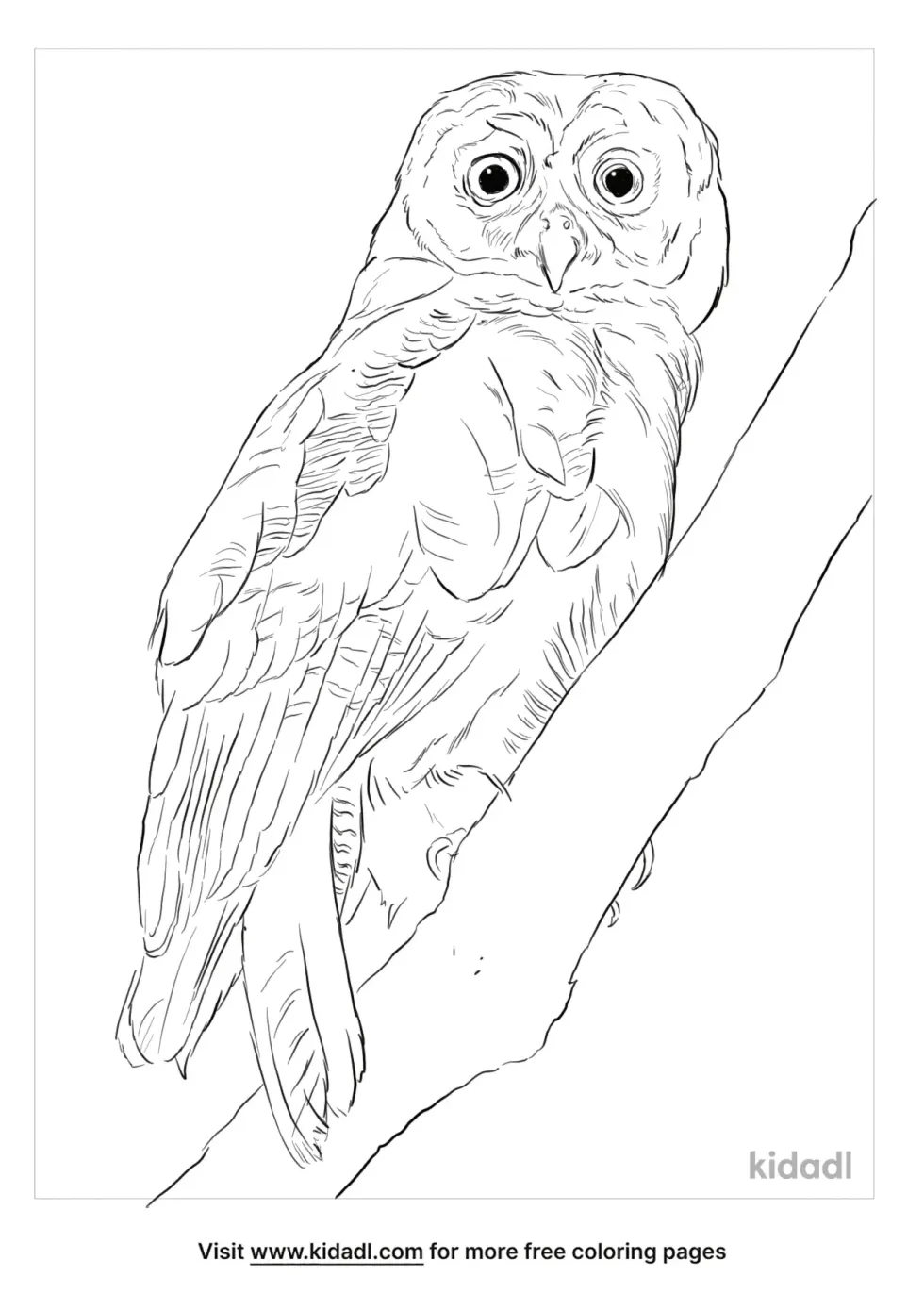 Brown Wood Owl Coloring Page