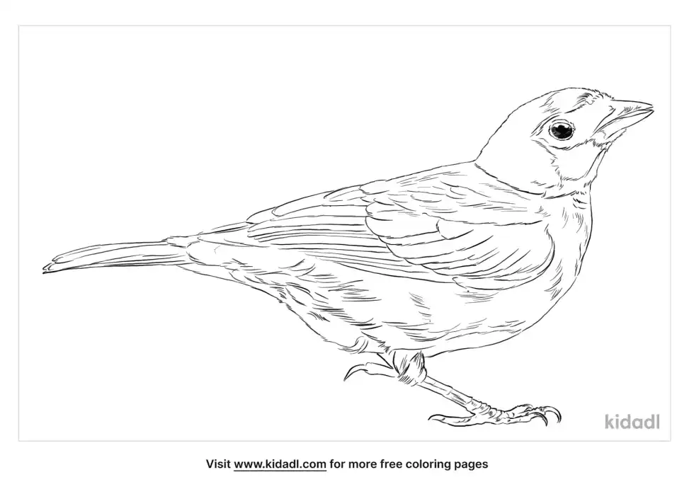 Golden-Hooded Tanager Coloring Page