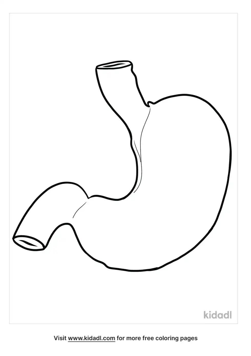 Human Stomach Coloring Page