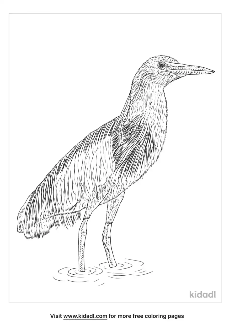 Jungle Owlet Coloring Page