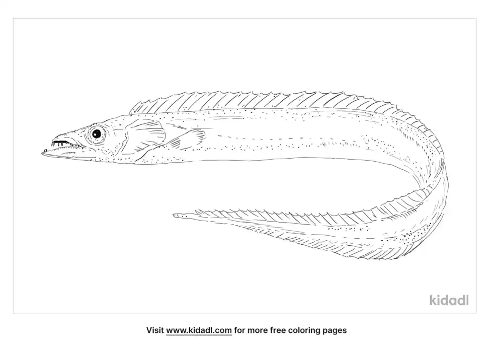 Largehead Hairtail Coloring Page