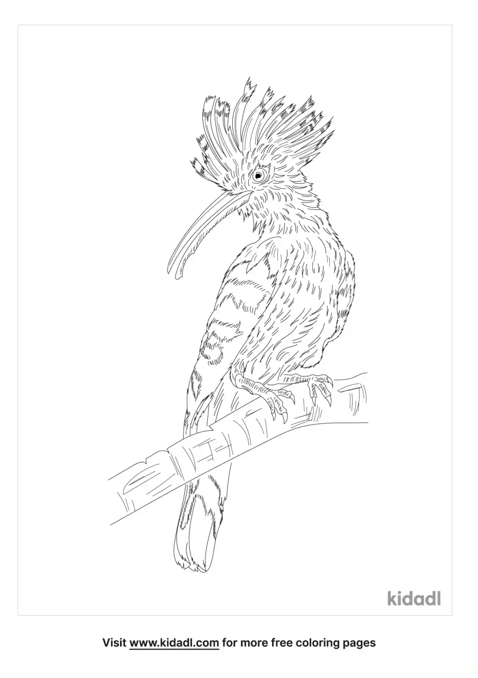 African Hoopoe Coloring Page