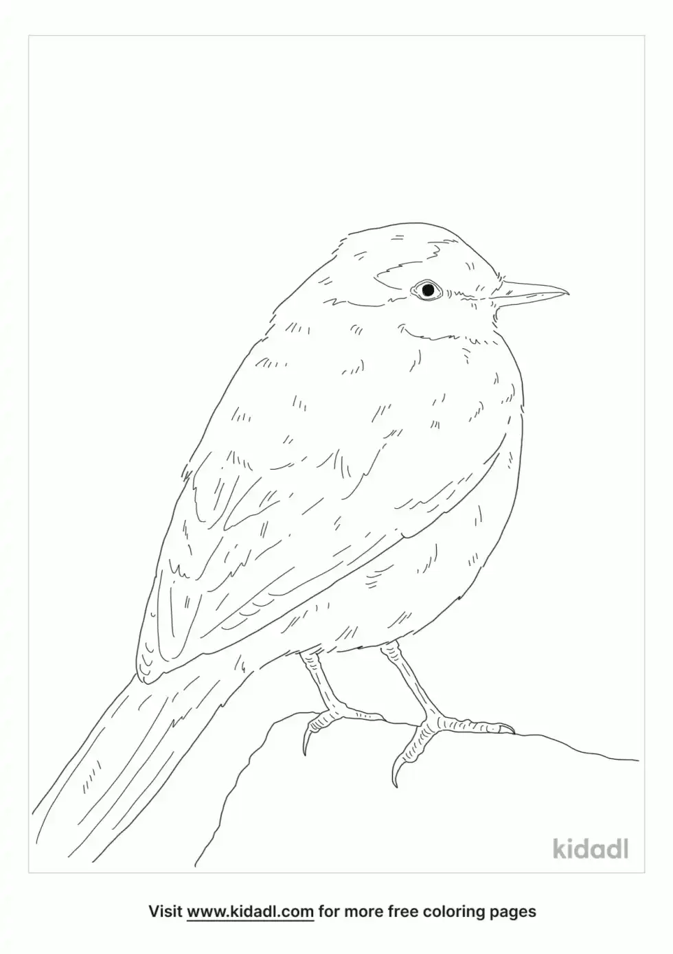 Japanese Wagtail Coloring Page