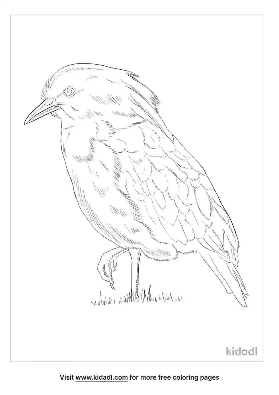 Kagu Coloring Page