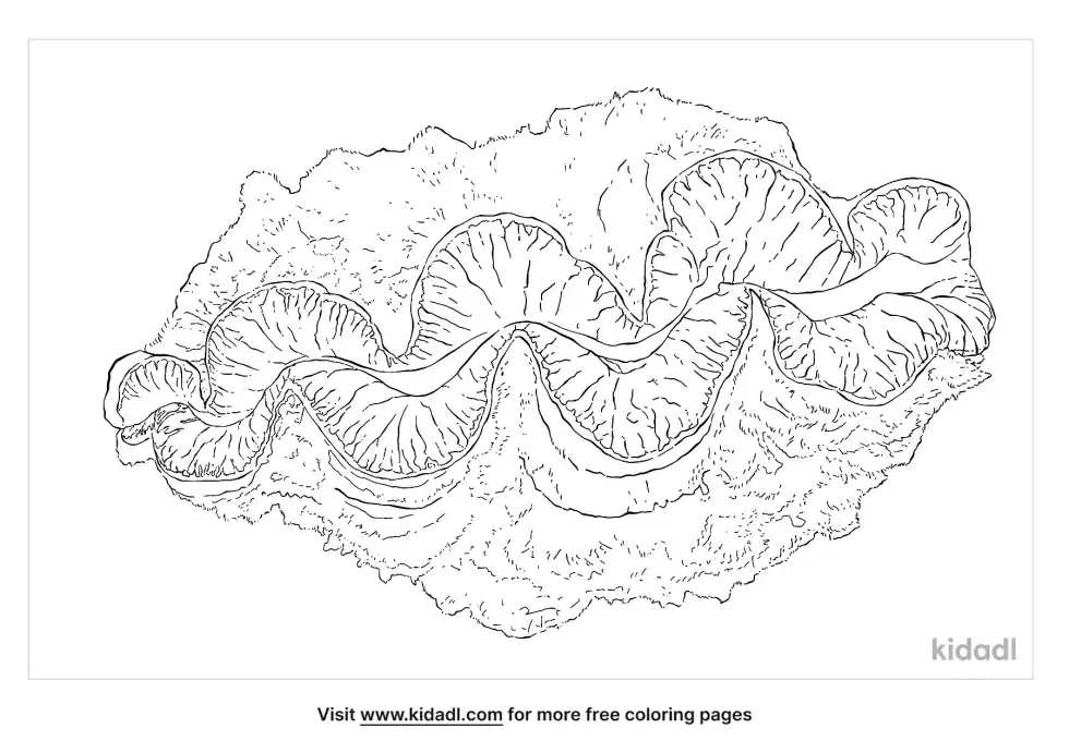 Giant Clam Coloring Page