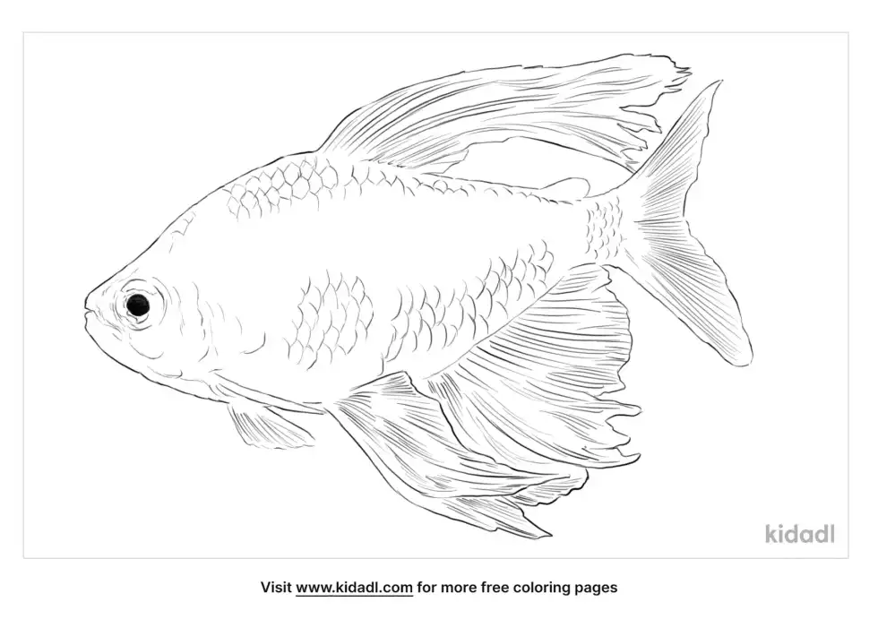 Diamond Tetra Coloring Page
