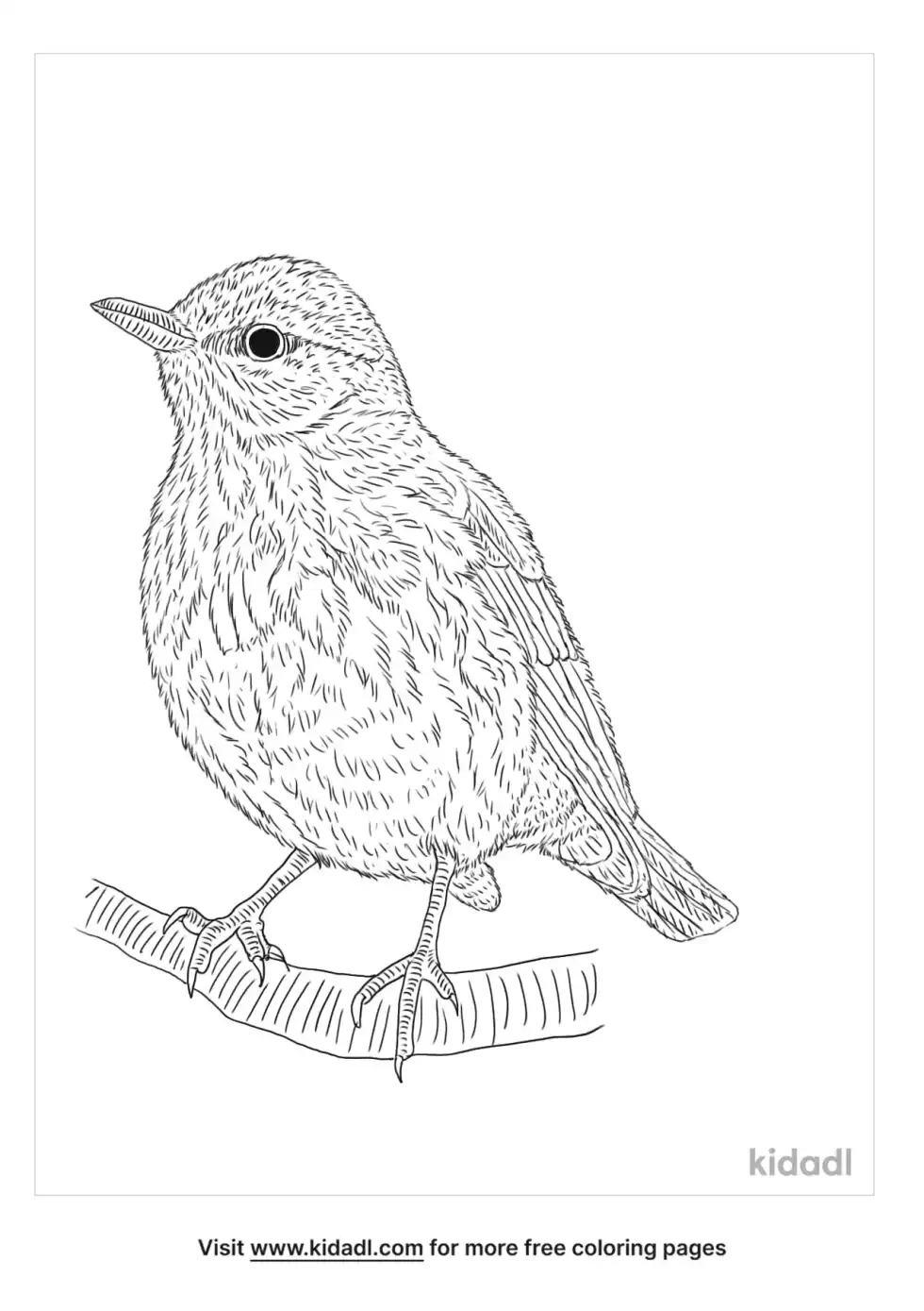 Redwing Bird Coloring Page