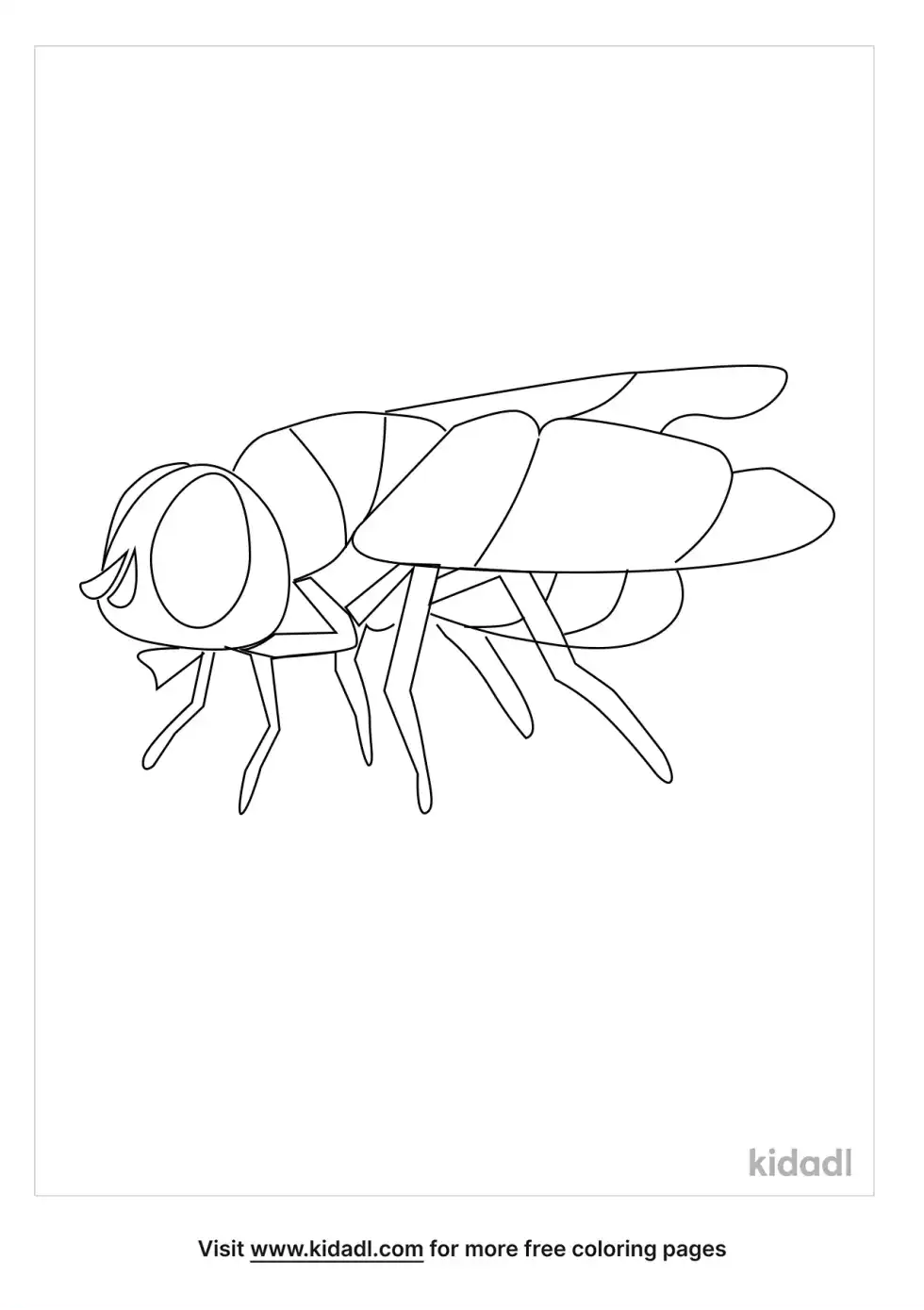 Flies Coloring Page