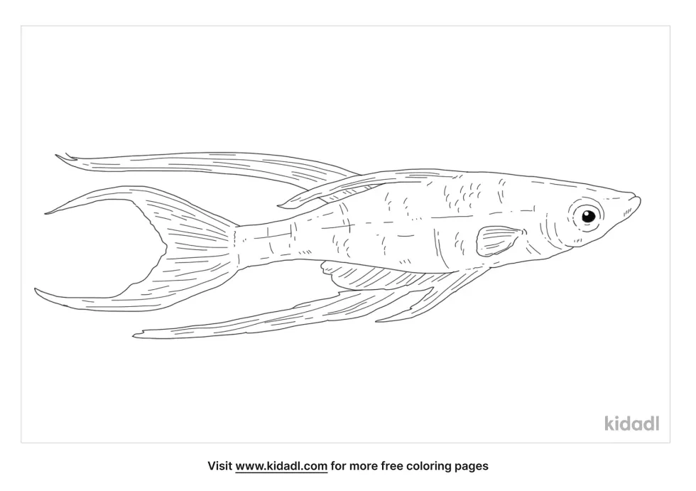 Threadfin Rainbowfish Coloring Page