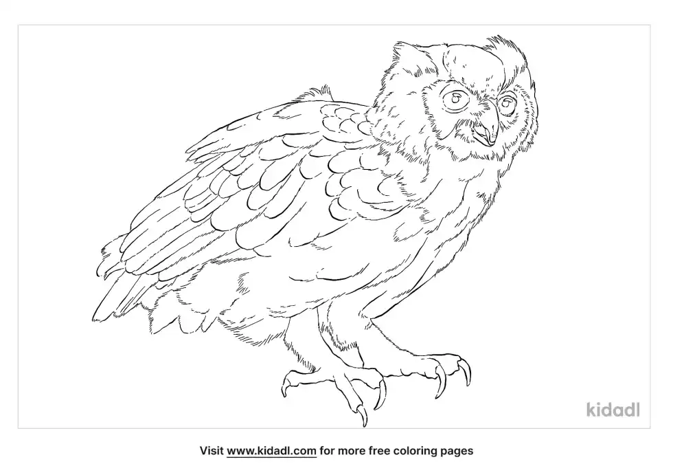 Verreaux's Eagle-Owl Coloring Page