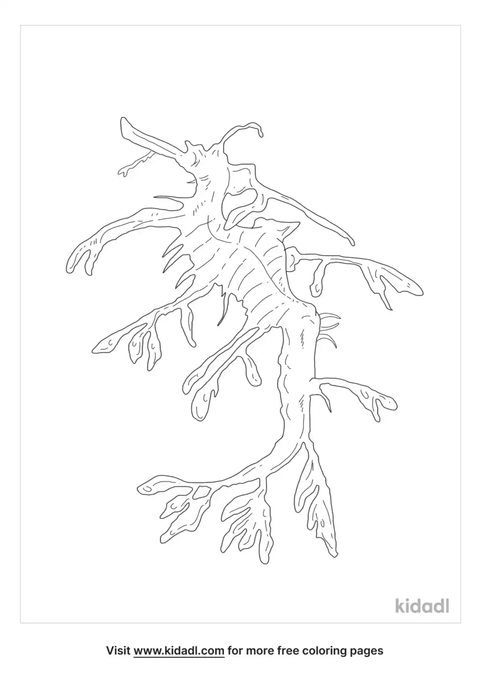 Leafy Sea Dragon Coloring Page