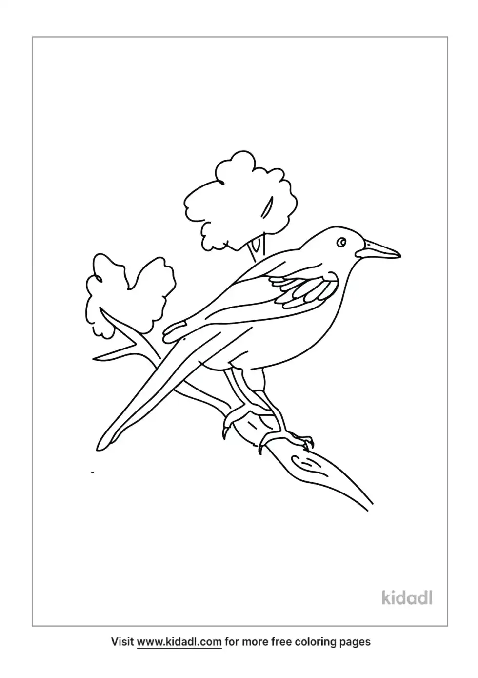 Magpie Coloring Page