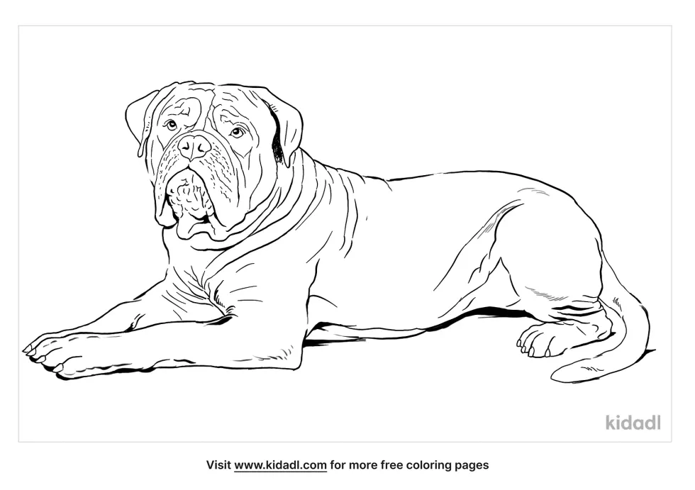 Dogue De Bordeaux Coloring Page