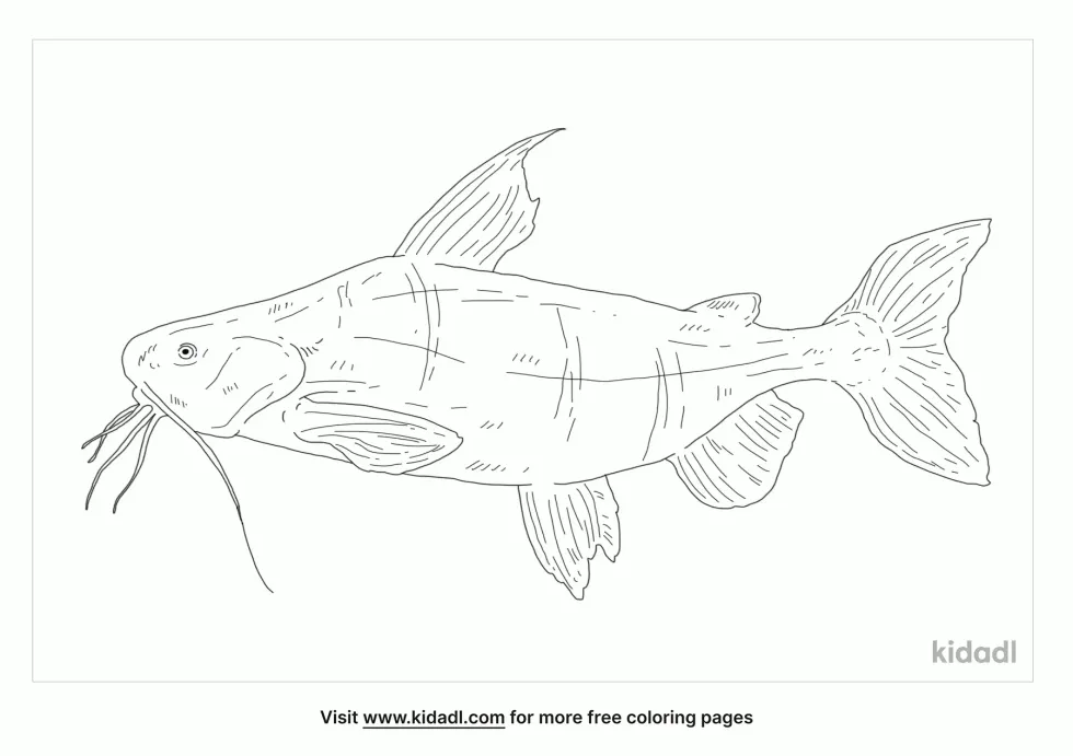 Granulated Catfish Coloring Page