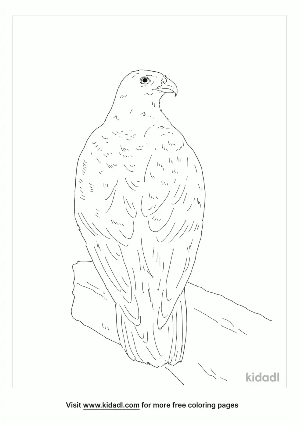 White Gyrfalcon Coloring Page