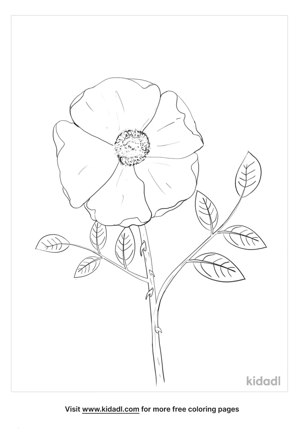 Nootka Rose Coloring Page