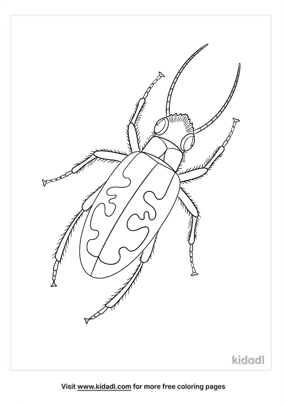 Beetle Coloring Page