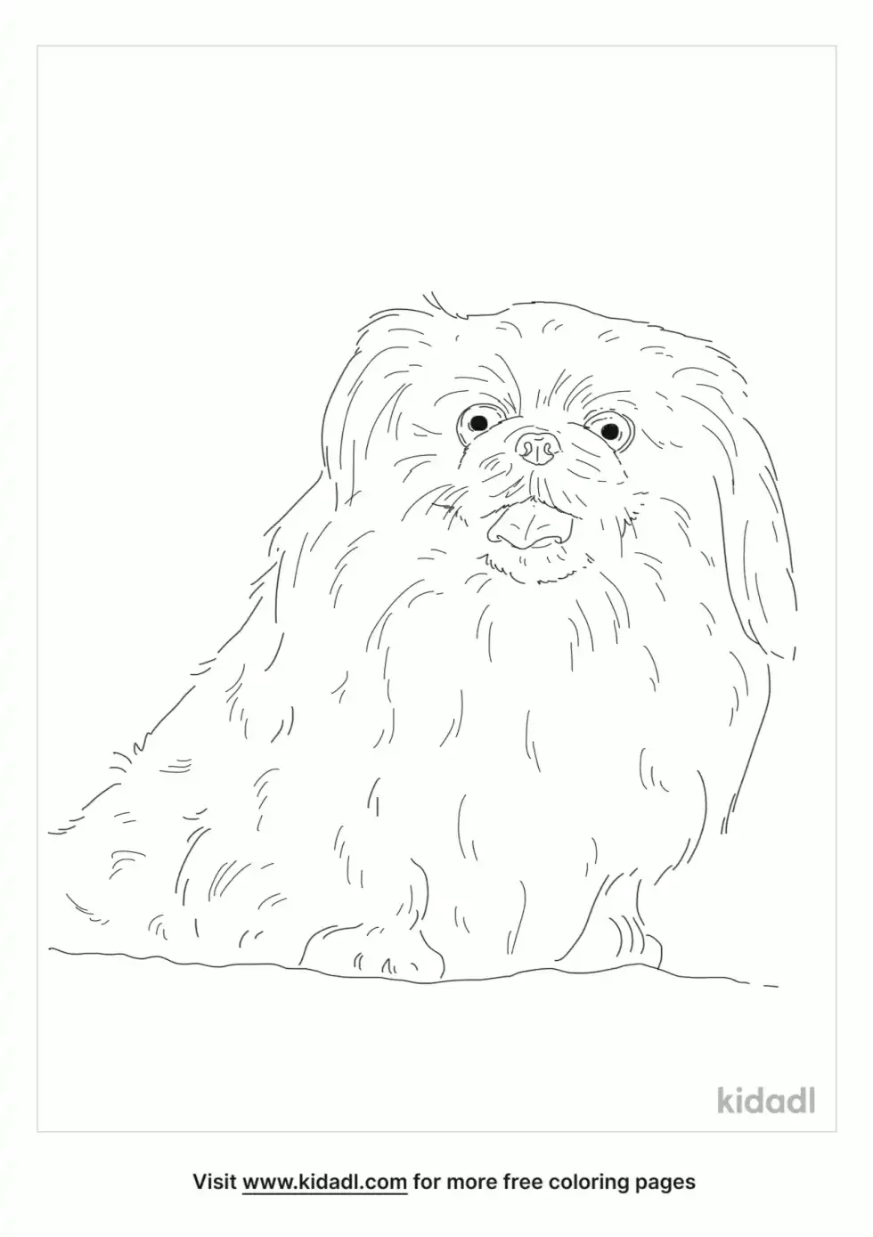 Sleeve Pekingese Coloring Page
