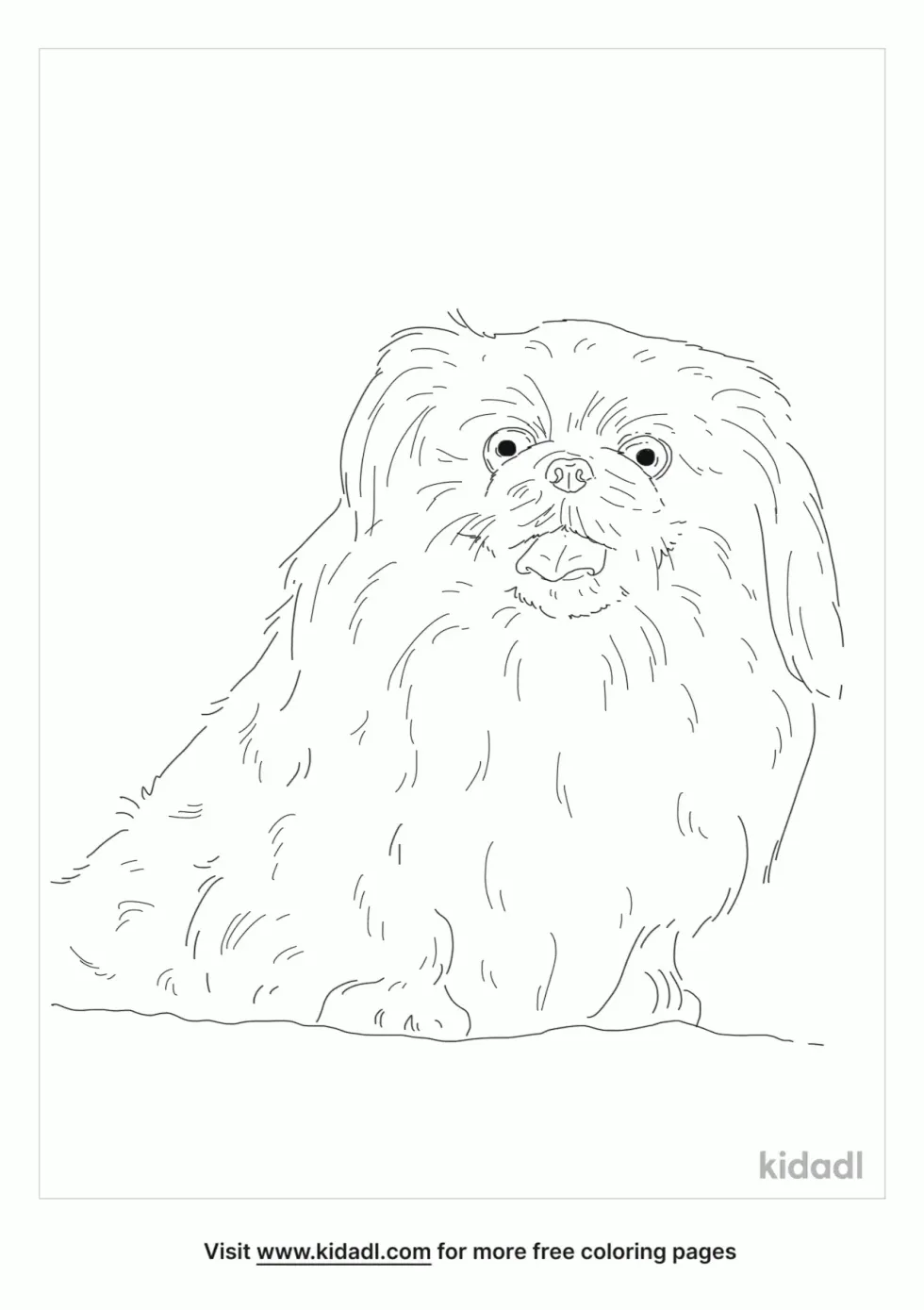 Sleeve Pekingese Coloring Page | Kidadl