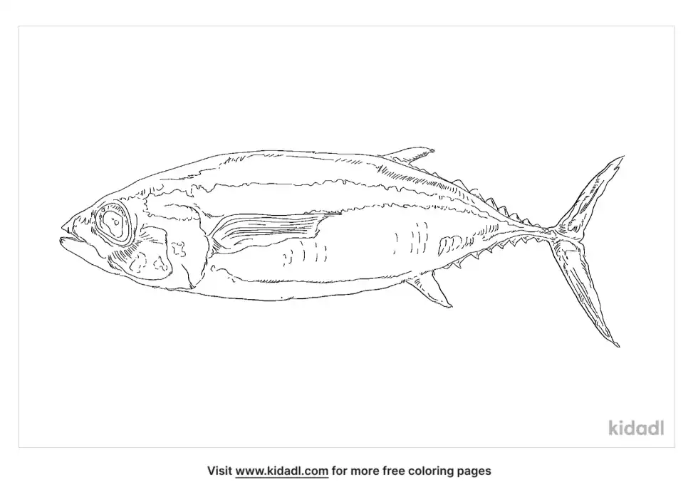 Shark Mackerel Coloring Page