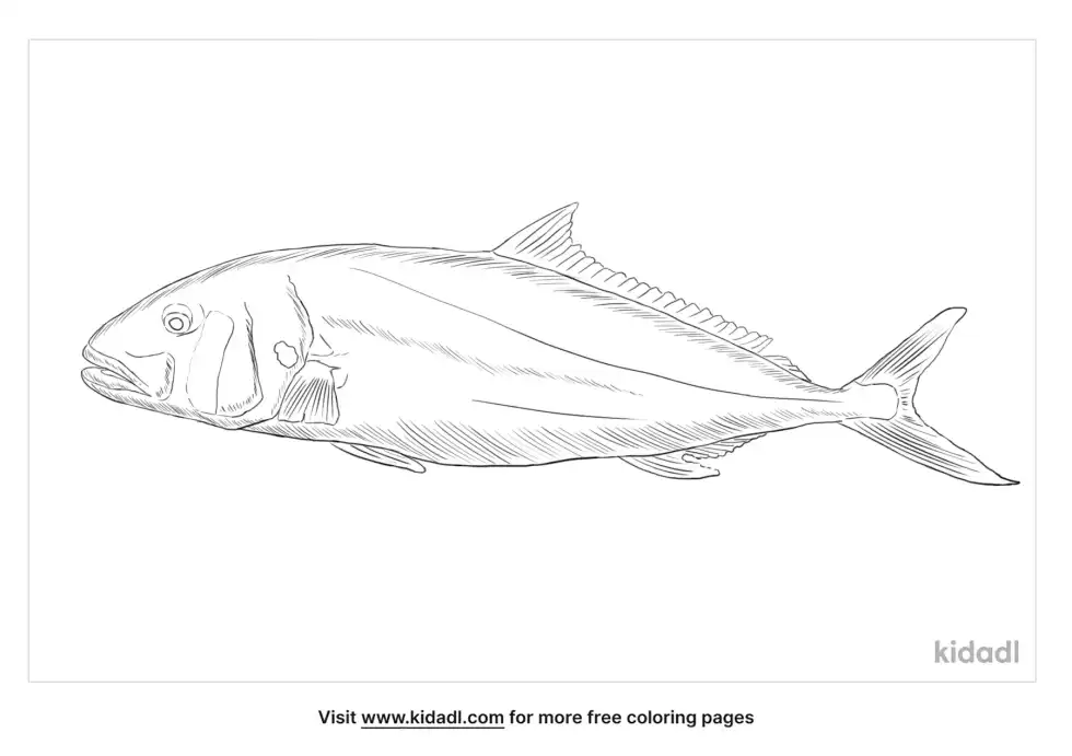 Donkey Fish Coloring Page