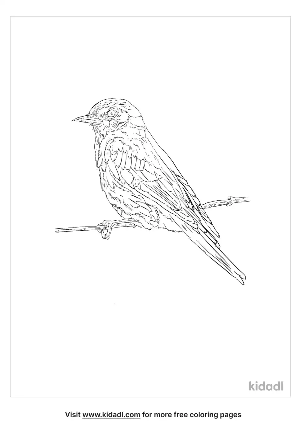 Clarke's Weaver Coloring Page