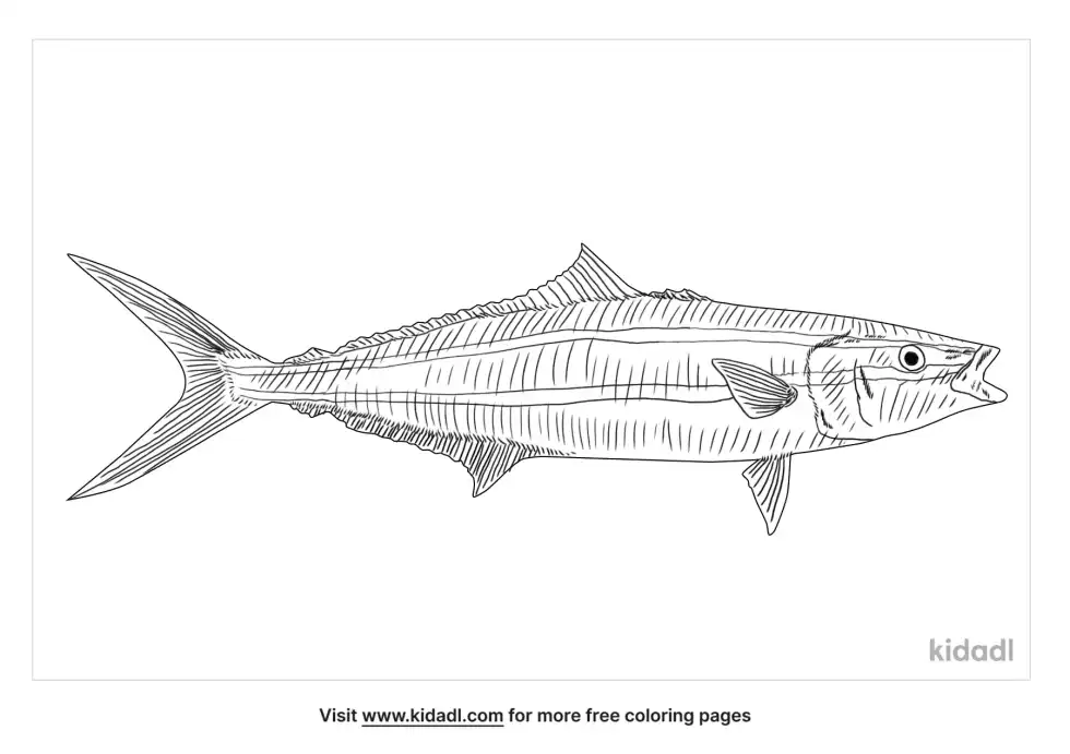 Rainbow Runner Coloring Page