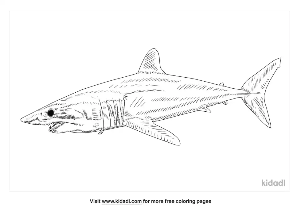 Shortfin Mako Shark Coloring Page