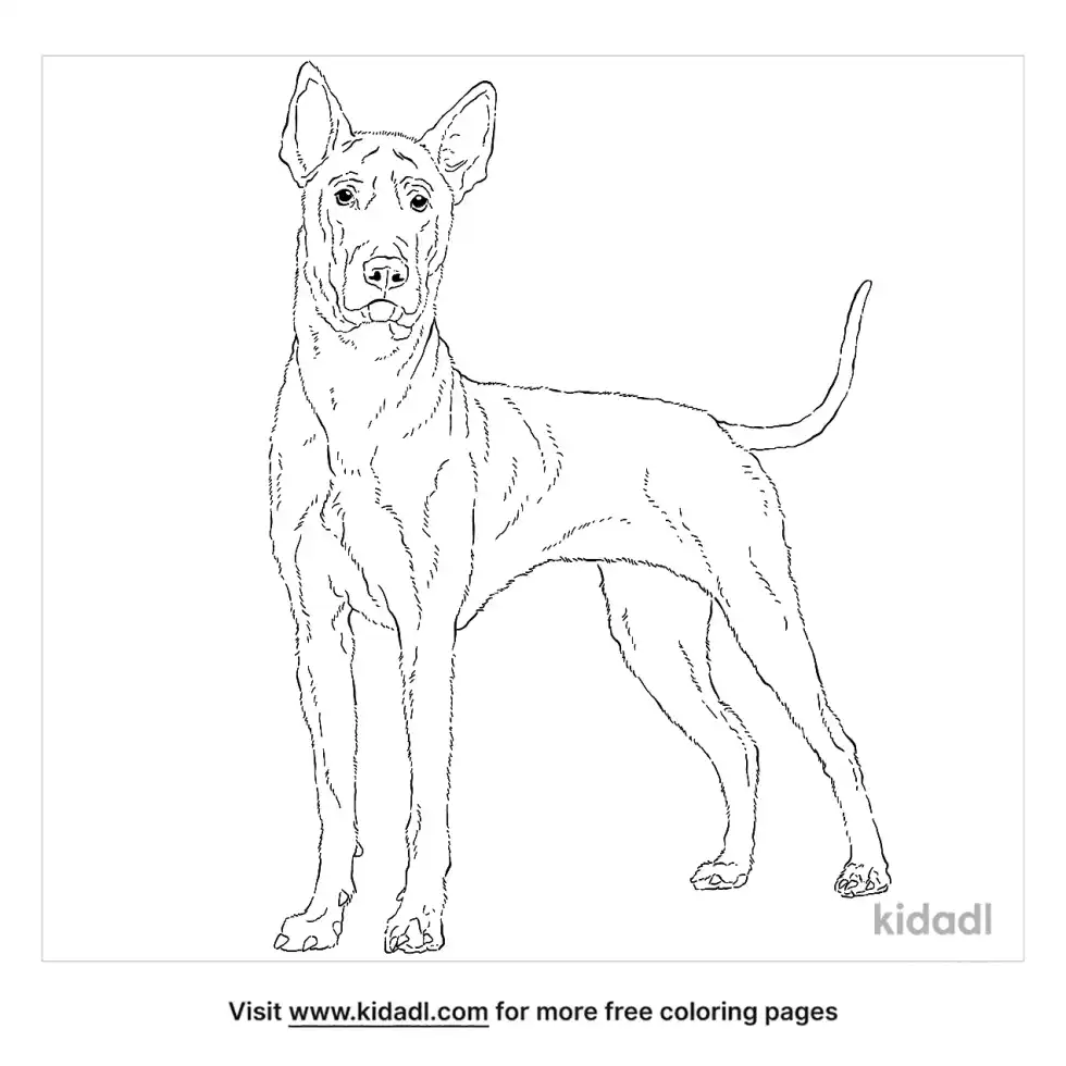 Thai Ridgeback Coloring Page