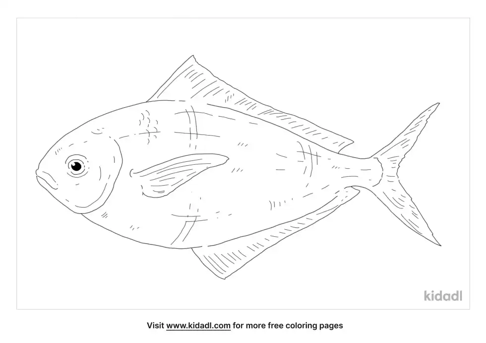 Butterfish Coloring Page
