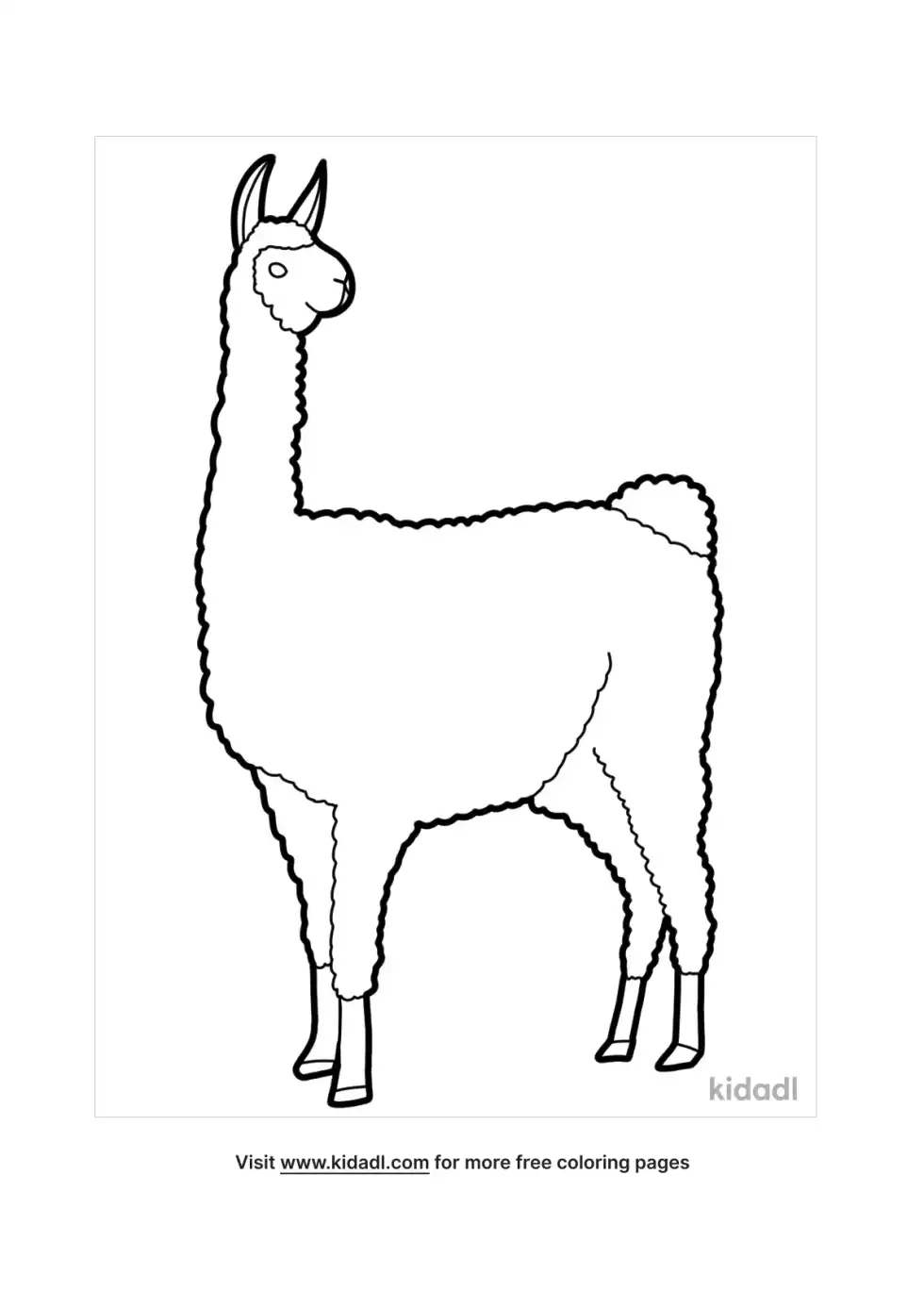 Llama Coloring Page