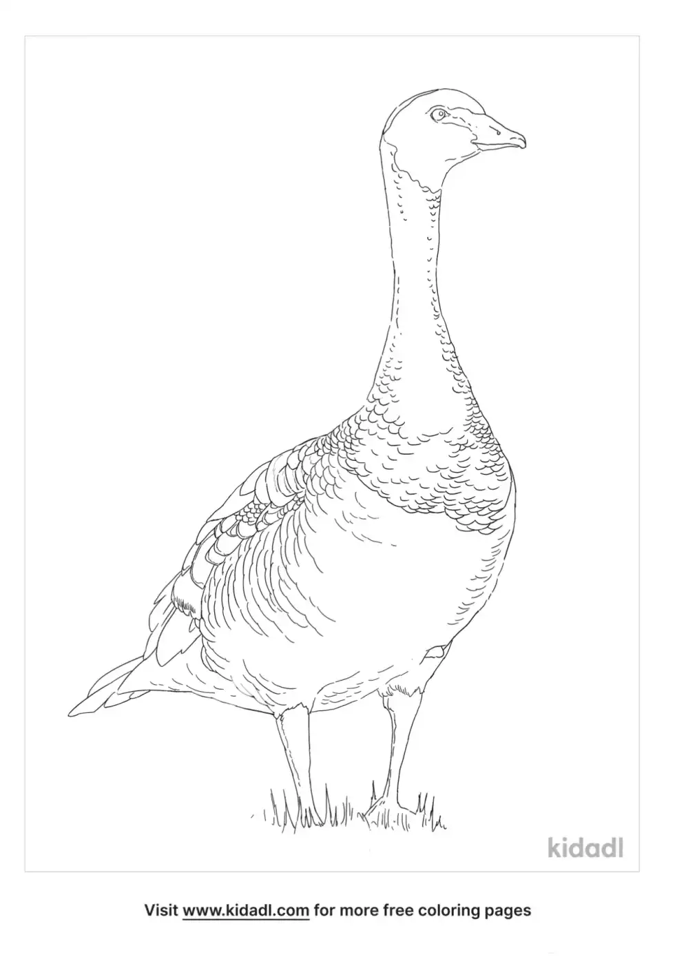 Black Geese Coloring Page