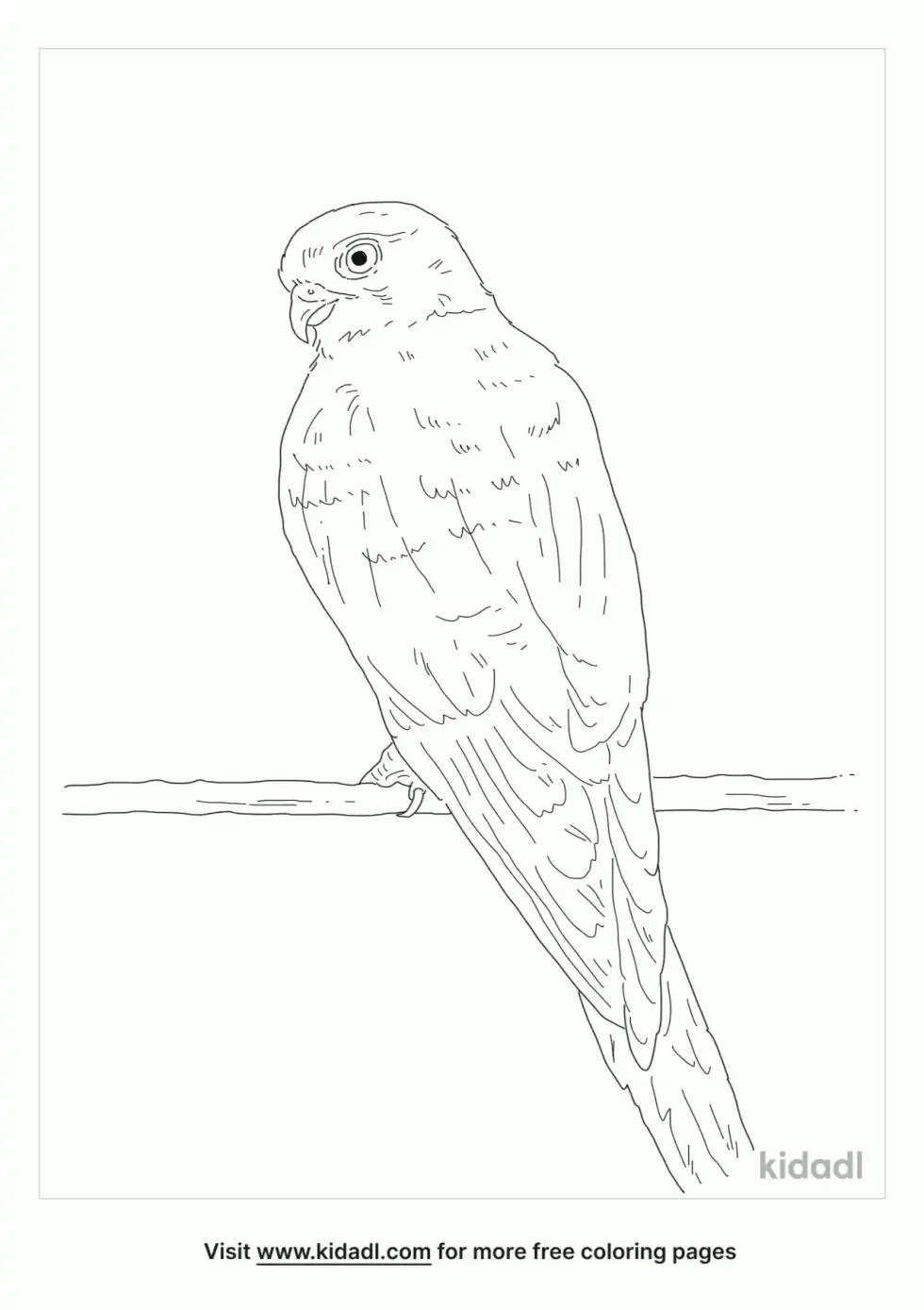 Fox Kestrel Coloring Page