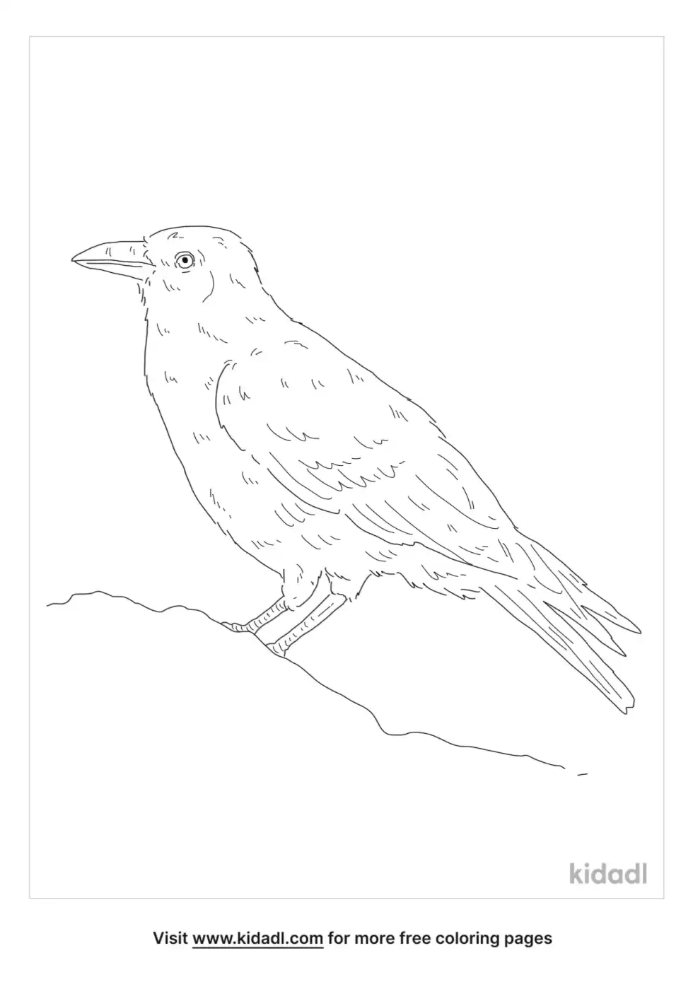 Torresian Crow Coloring Page